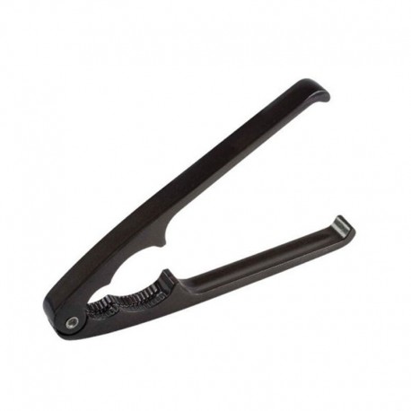 Luskáčik na orechy