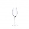 Pohár BALLET Champagne flute 310